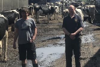 X-Zelit attributed to healthier cows at a Devon Farm